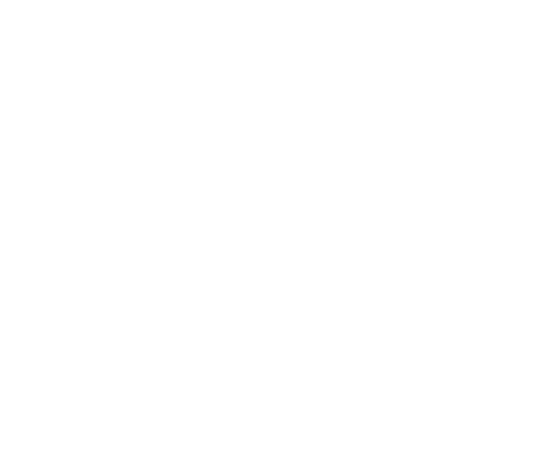 PPC & SEO Digital   Agency